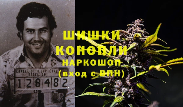 трава Аркадак