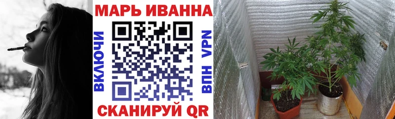 где найти наркотики  Тында  Бошки Шишки тримм 